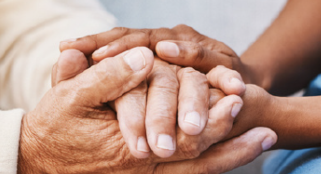 Screenshot 2026-02-23 165445